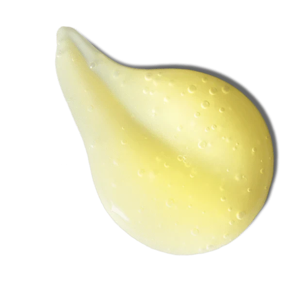 Yellow rubber duck on a white background