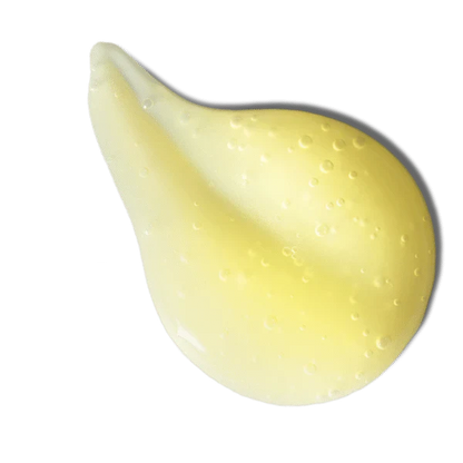 Yellow rubber duck on a white background